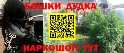 дживик Лесосибирск
